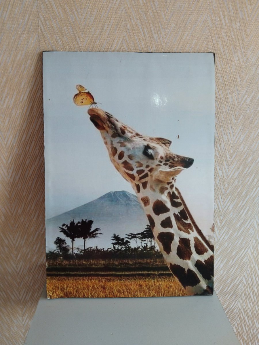 graphical_dan's tweet image. A3 potraits
🏷️ Kshs 400
📱 0798375582.
📍 Horizon Business Center Utawala Githunguri.
Delivery available Country wide.