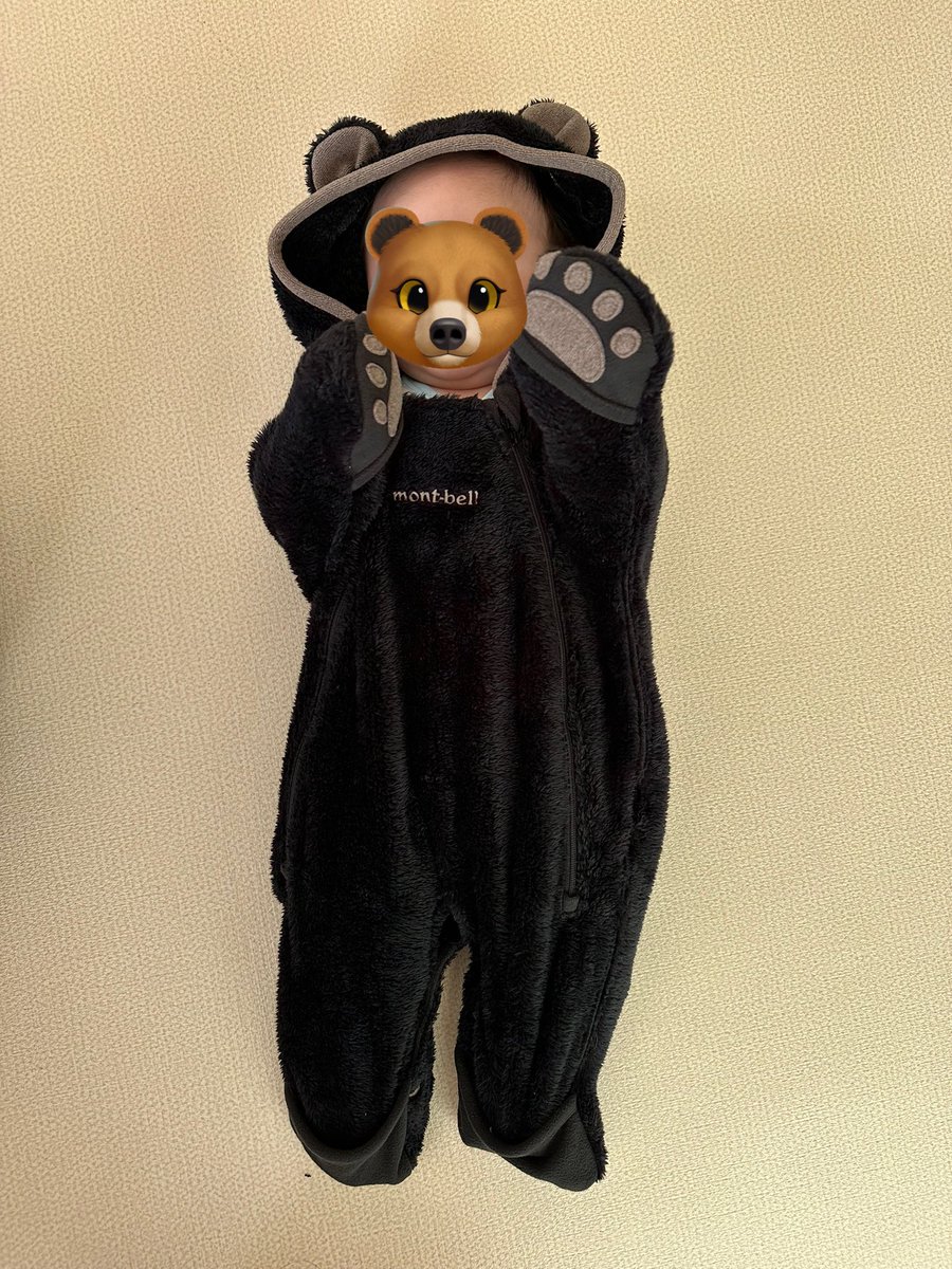__tatsu07's tweet photo. 我が家にもクマが出ました https://t.co/NpggCNIcD6