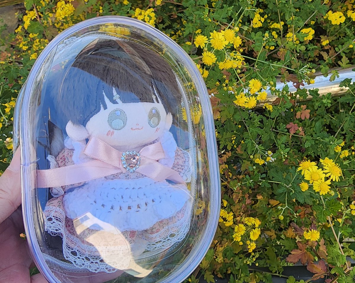 11월에도 꽃이 핀다 ☺️ 너는 나보다 더 강하구나