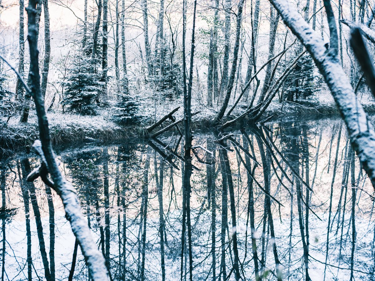 lilhym_'s tweet photo. 上高地の雪景色 https://t.co/1bSSML21Il