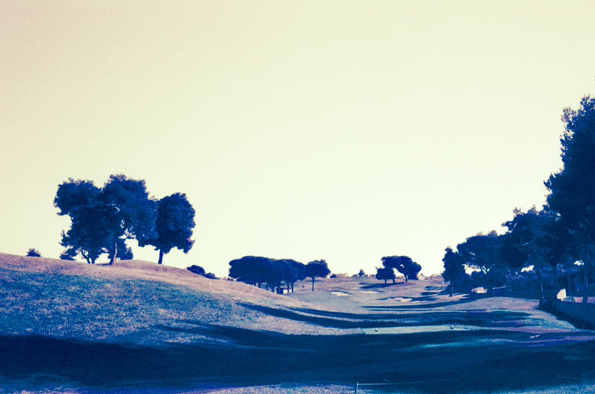 Nicholaus Goossen tweet media