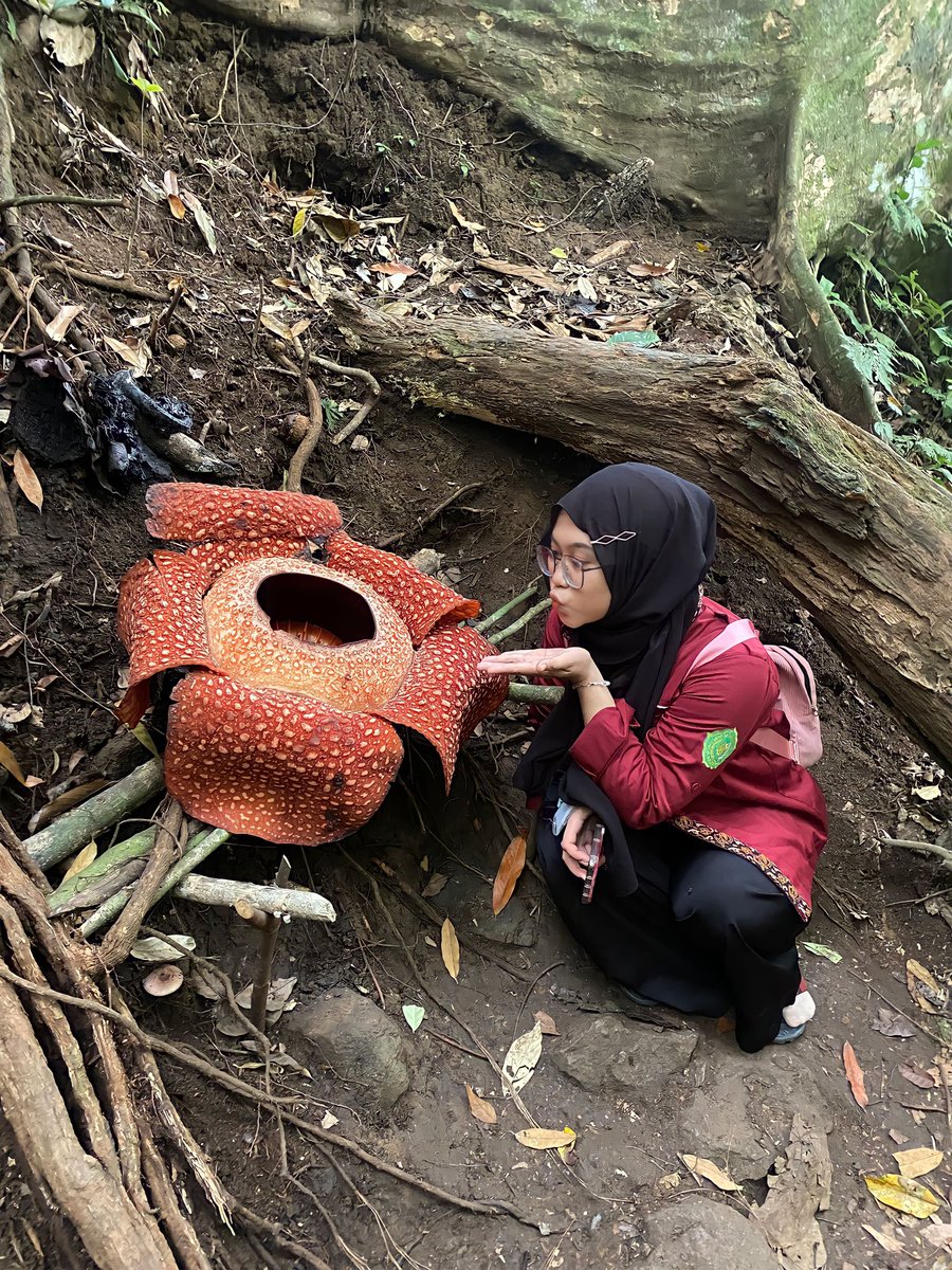 It’s me with the great flower “Rafflesia Arnoldii” 2 years ago.