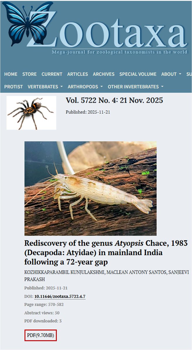 Mission Shrimpossible! tweet media