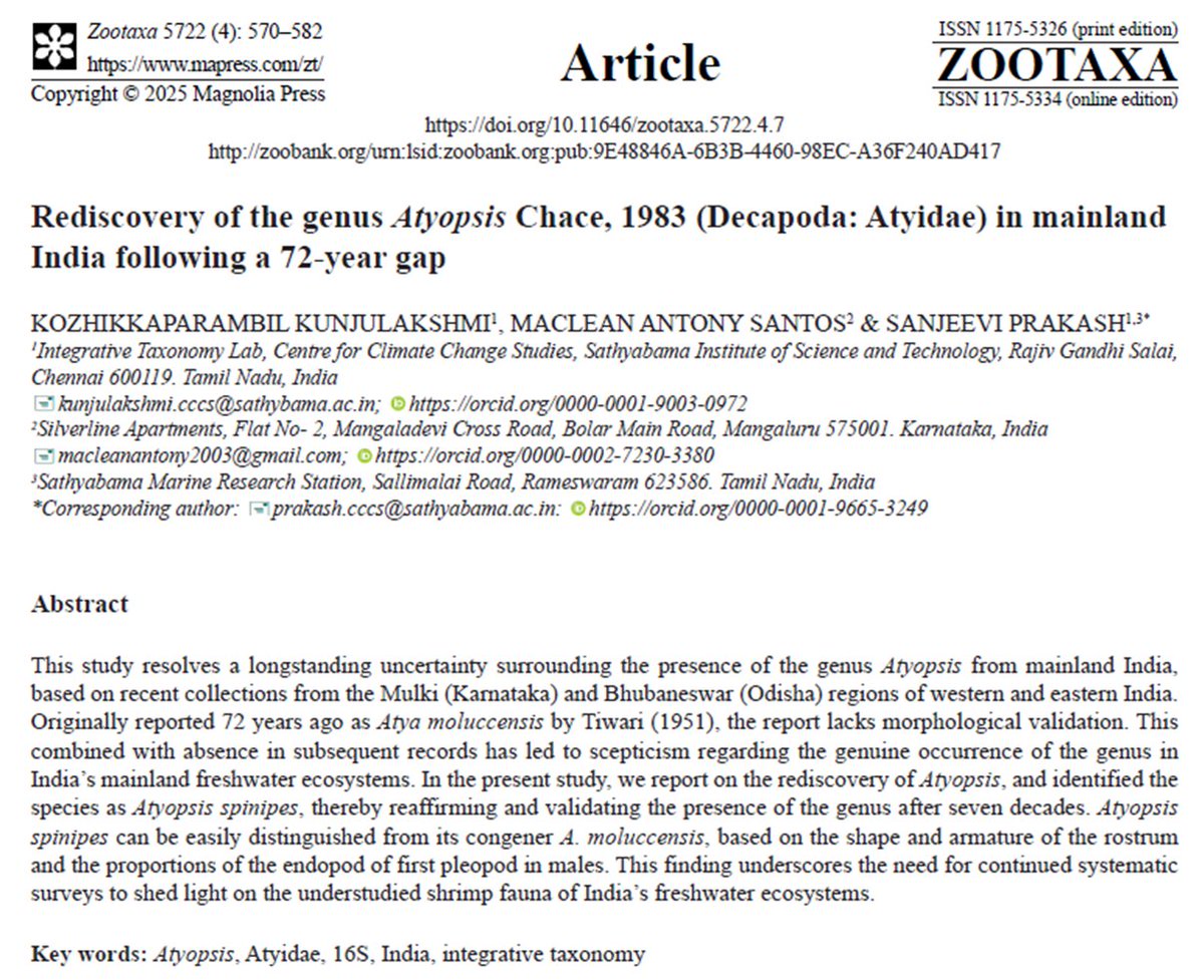 Mission Shrimpossible! tweet media