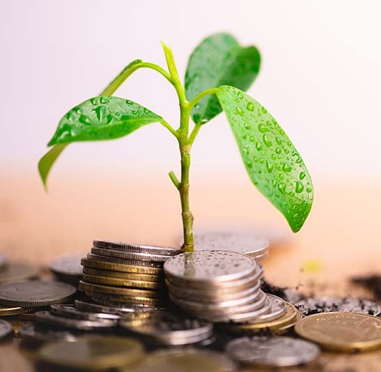 硬貨の山から芽が出て成長を象徴するイメージ