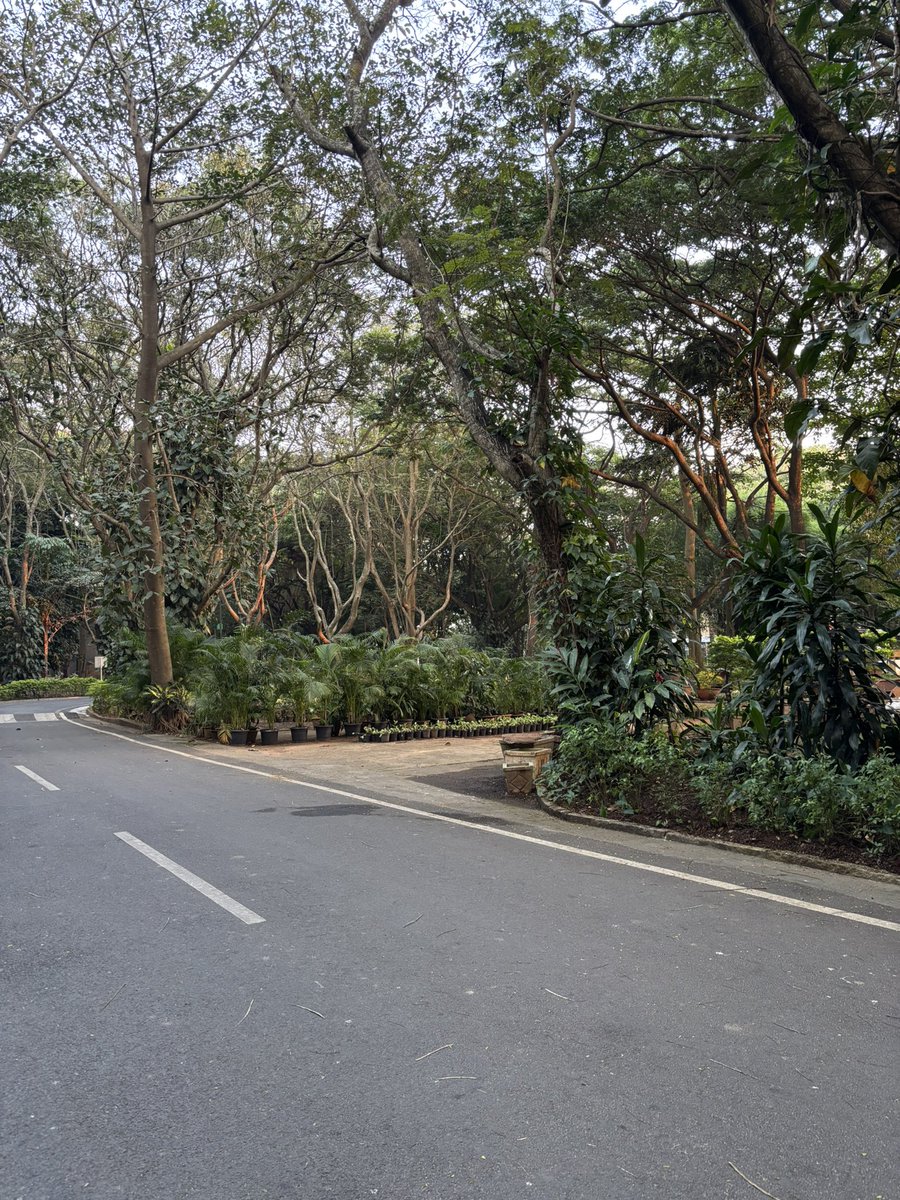 appadappajappa's tweet image. What is this campus?!?! ❤️

IIM Bangalore, you’re beautiful.