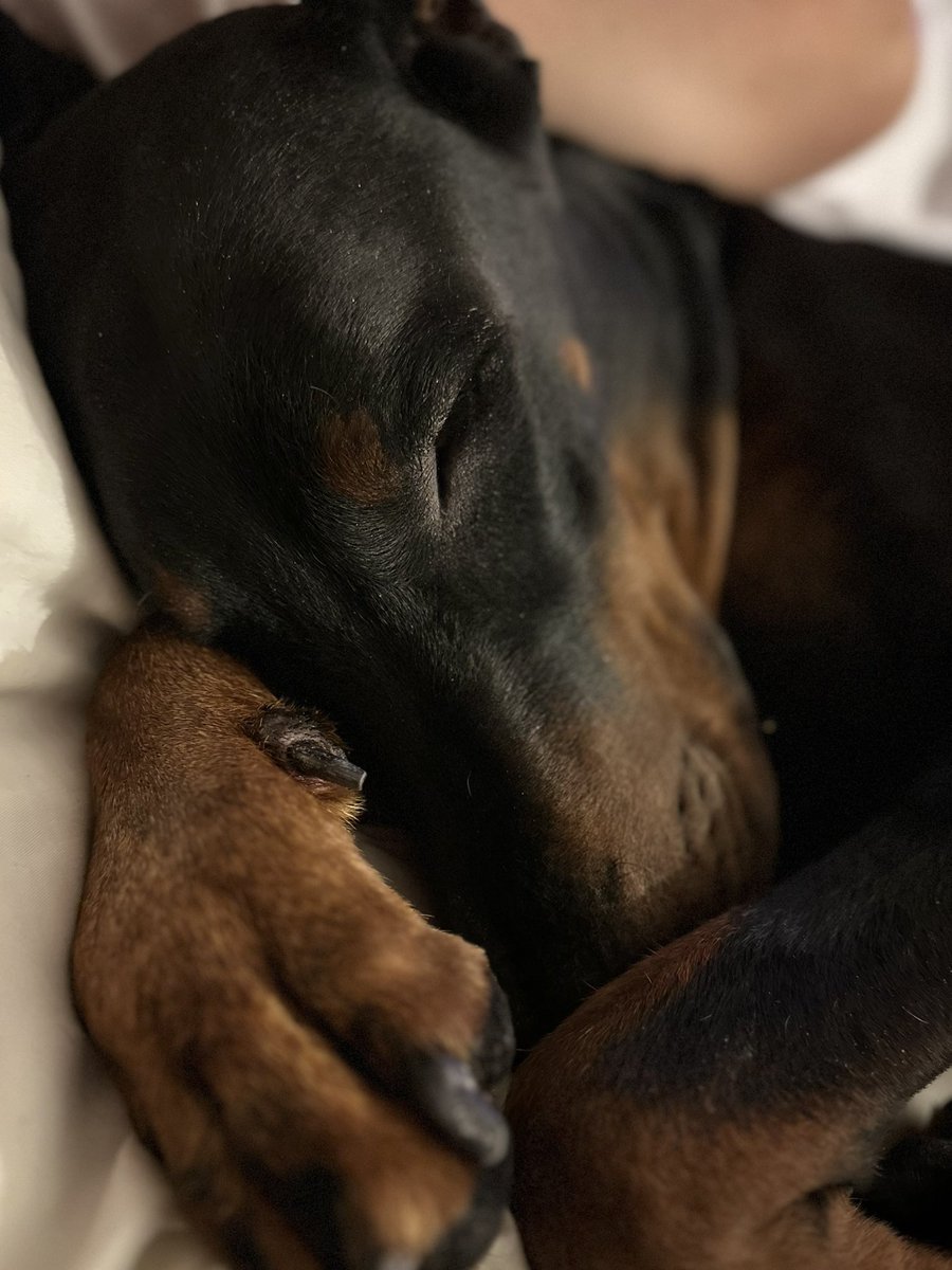 Good night, everyone! 😴