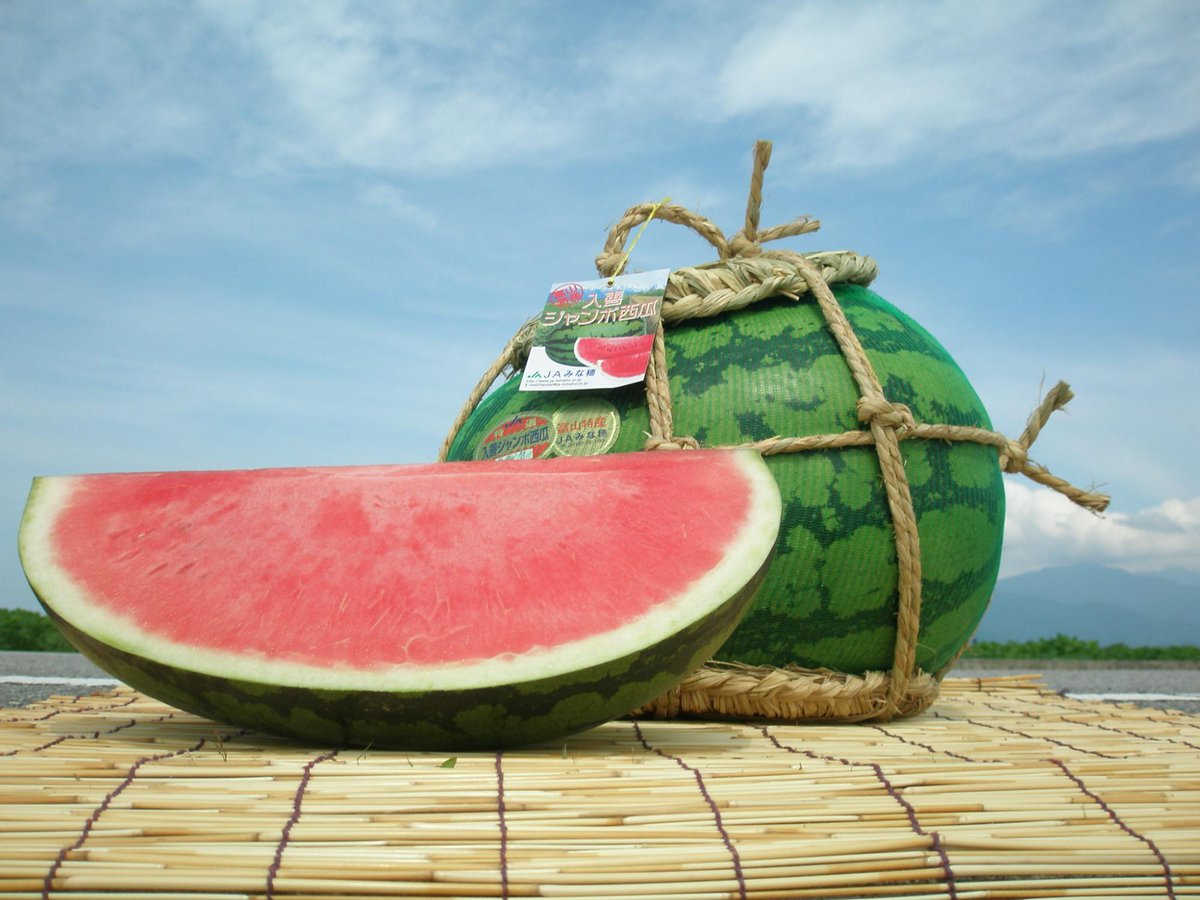 Kurobe_Unazuki's tweet image. 冬のトロッコ電車特別運行に温泉宿泊と地元体験（まち歩き、ジャンボスイカ🍉の桟俵編み、茶器陶芸のどれか1つ）がセットになったプランです。カニ🦀、ブリ🐟、雪見露天風呂♨もご一緒にお楽しみください。
⬇️詳細はこちらから
kurobe-unazuki.jp/tours/2025/11/…
＃黒部峡谷 ＃宇奈月温泉