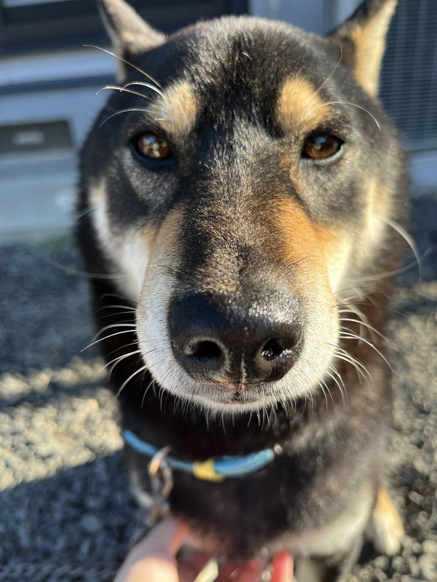 太郎 (@tarogame098) / Posts / X