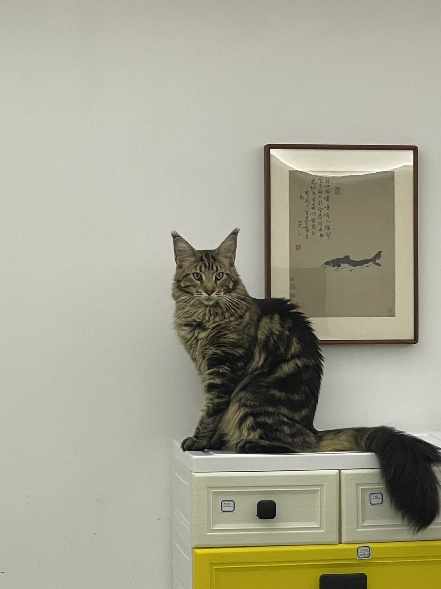 各种鬼故事，加密行业有过之而无不及，牛市中的熊市阶段，必然上串下跳。

核心点：降息的大周期中，大可不必担心。

特别提醒自己：不论牛熊周期时刻留好现金方能从容不迫、游刃有余。