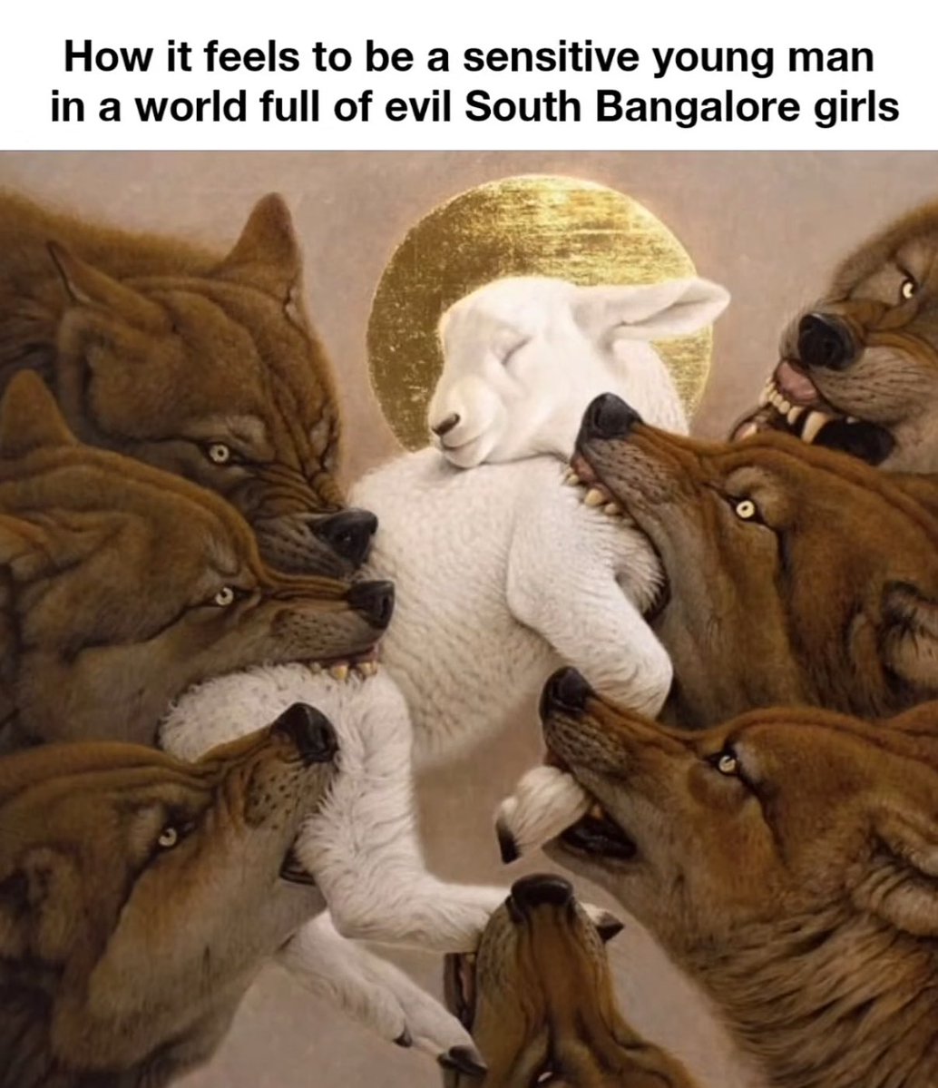 axbixh's tweet image. Good morning gang