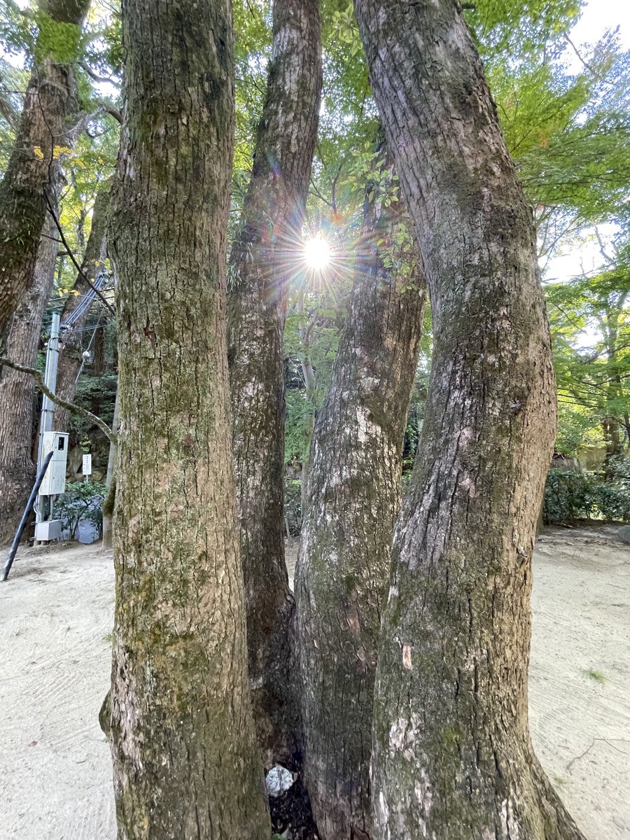 0606marine99's tweet image. 