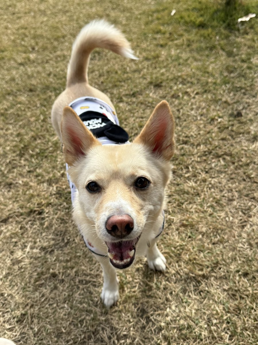 감자🥔 (@gamja_wang0103) on Twitter photo 