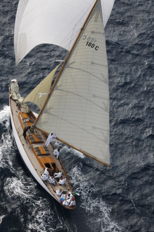 DelightMoments_'s tweet image. 