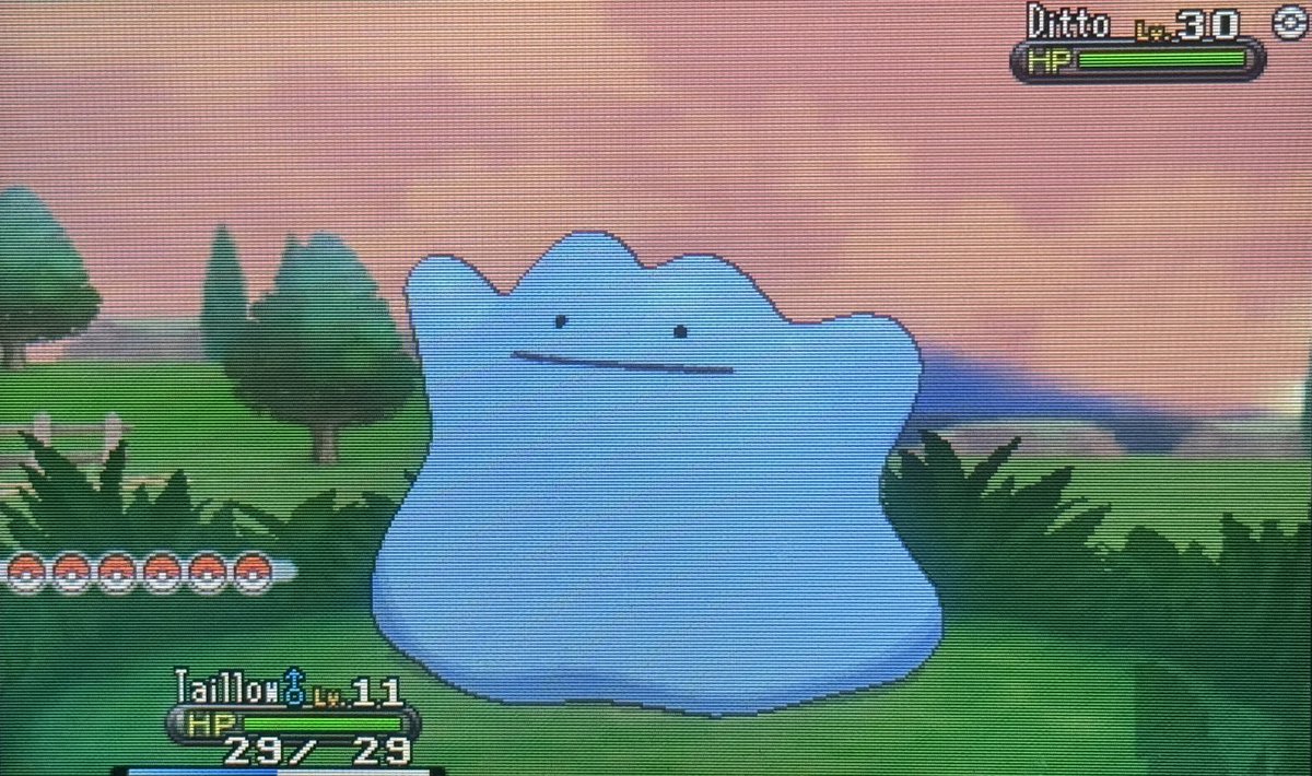That1NikoShines's tweet photo. In its second phase, Ditto shines in 424 RE’s in the friend safari!
#ShinyPokemon https://t.co/xataviwvUU