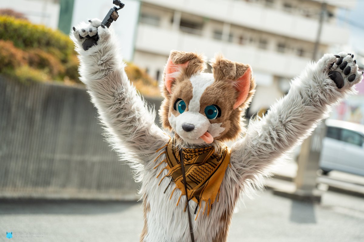 😝

📸 <a href="/MountainPineTW/">山松 MountainPine 🦊🐿️ ⏭️ Loading...</a> 
#FursuitFriday