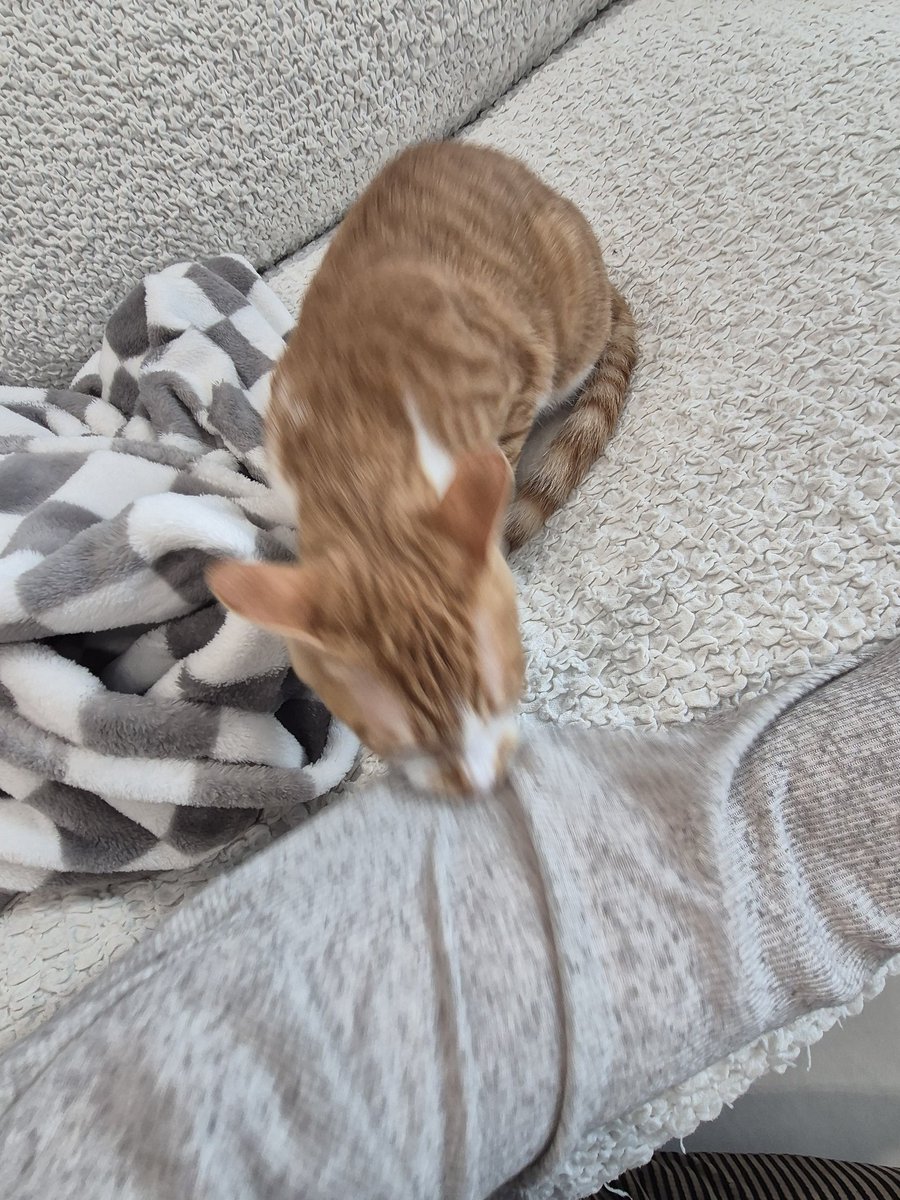 미안해
미안하다고!!!!!