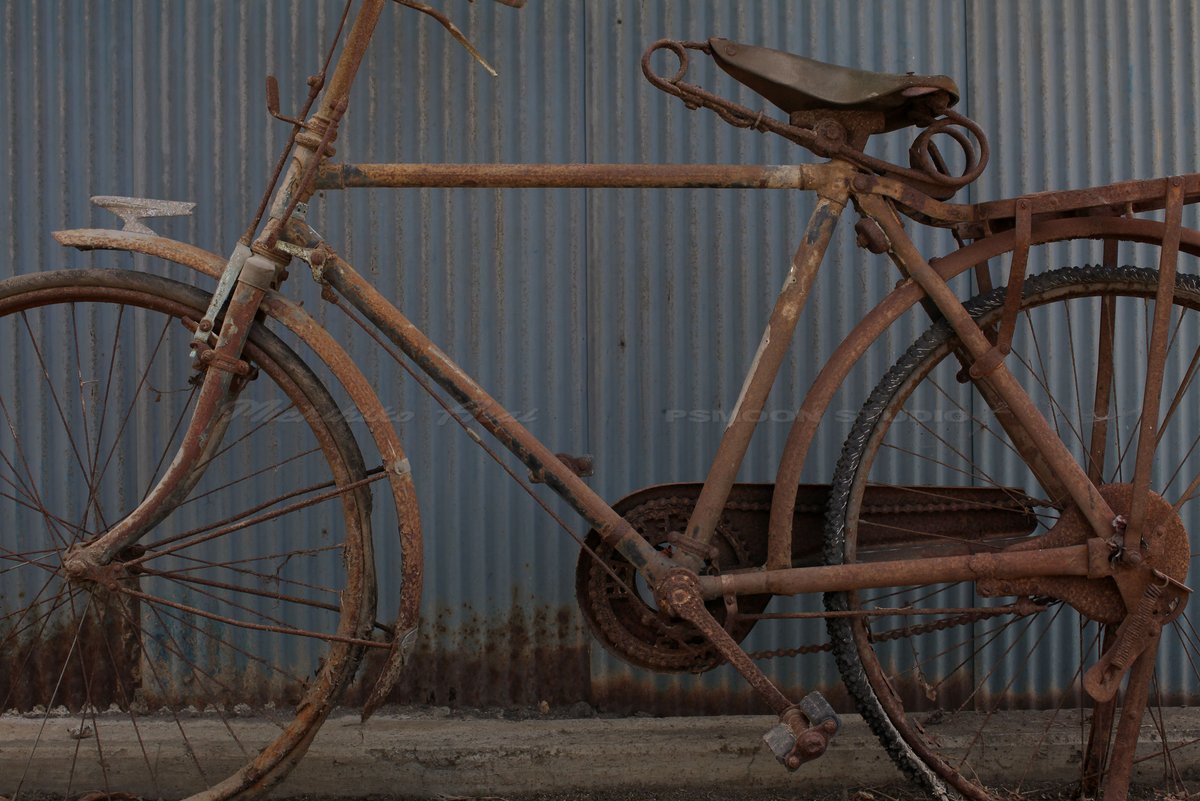 From Michihiko Arai photo collection 