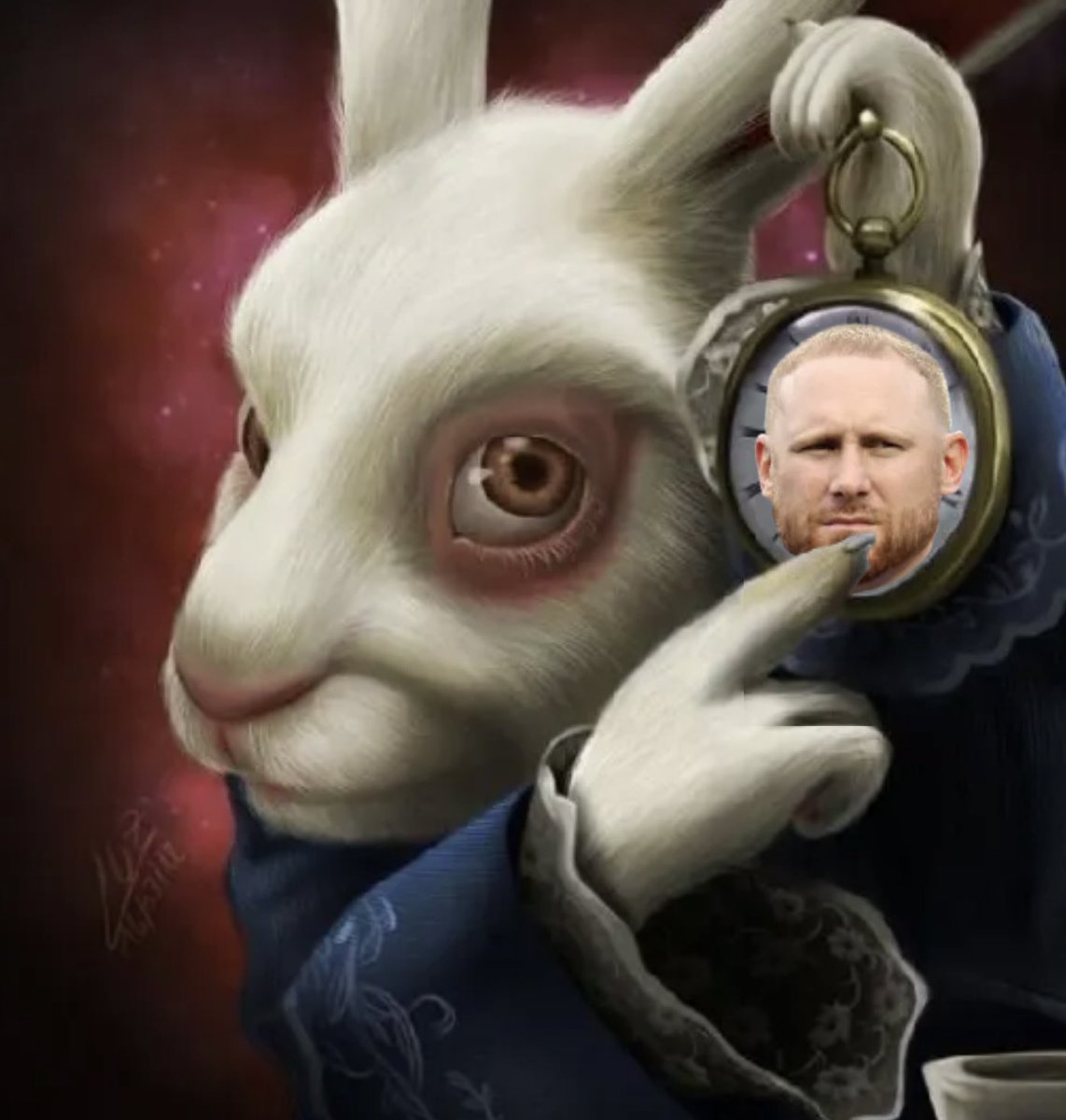 MereKat (@merekatkat) on Twitter photo 