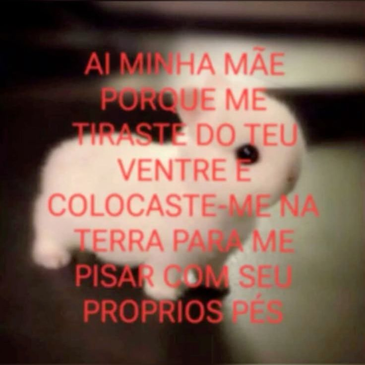 odeiootaco's tweet image. 