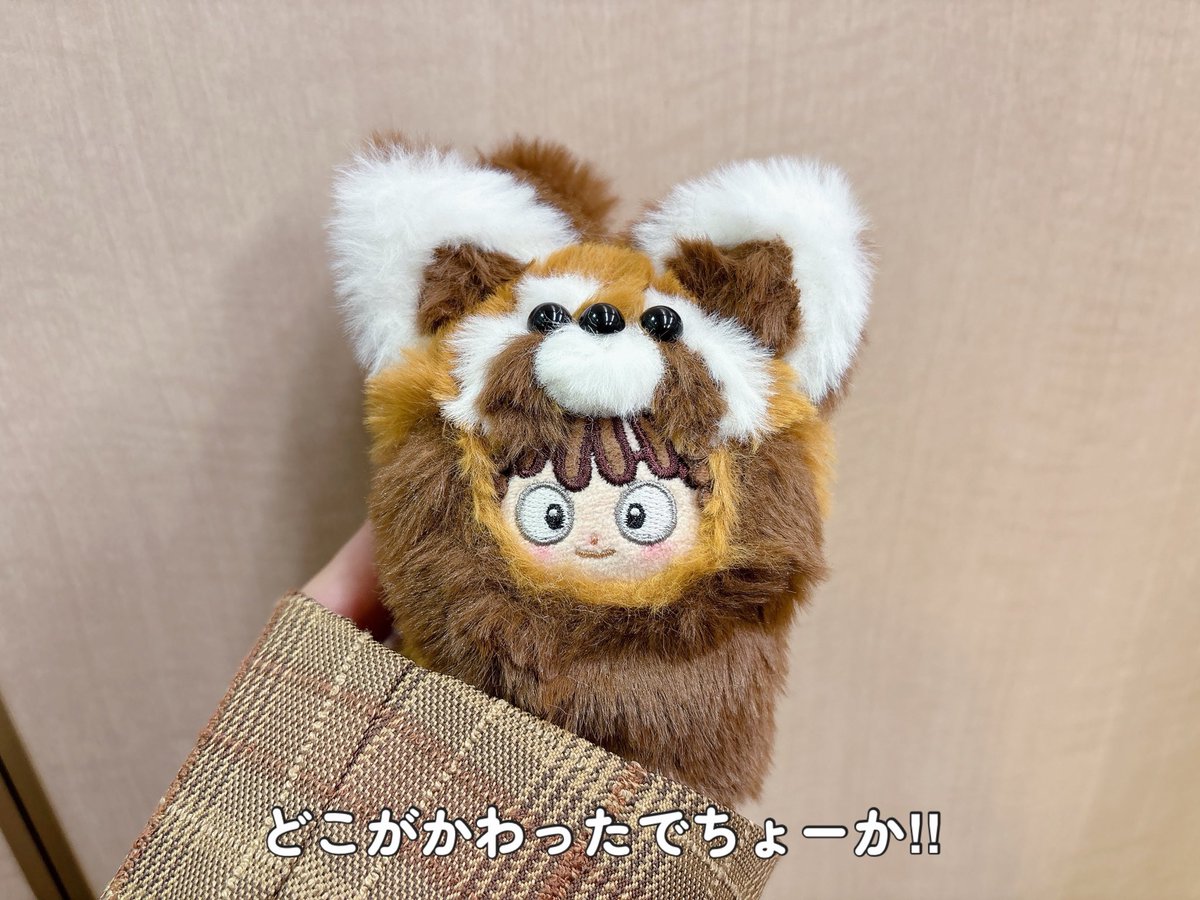 実は今日のかんちゃんはいつもと違うんです。
みんな気づいてくれるかな⁇