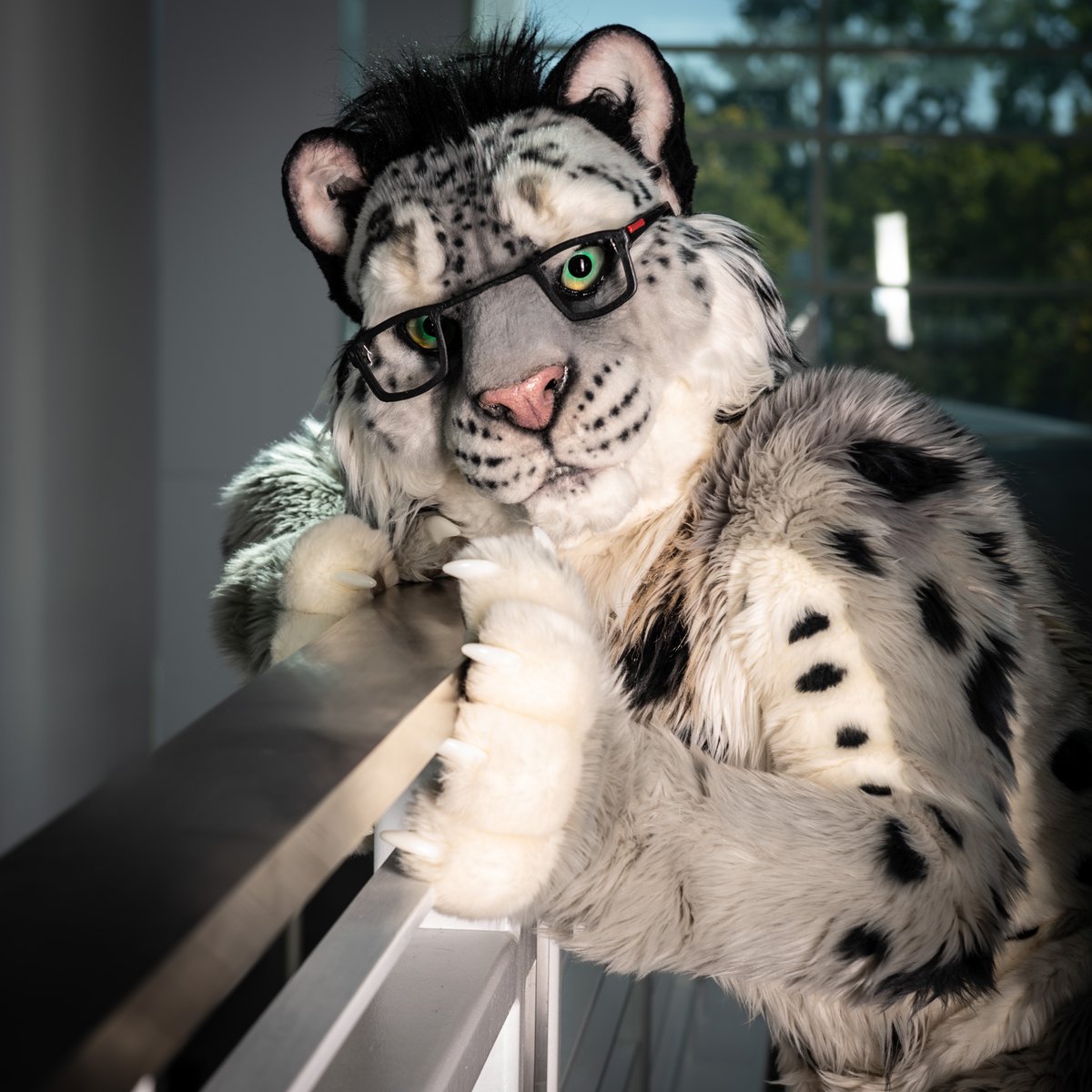 Fateclaw tweet media