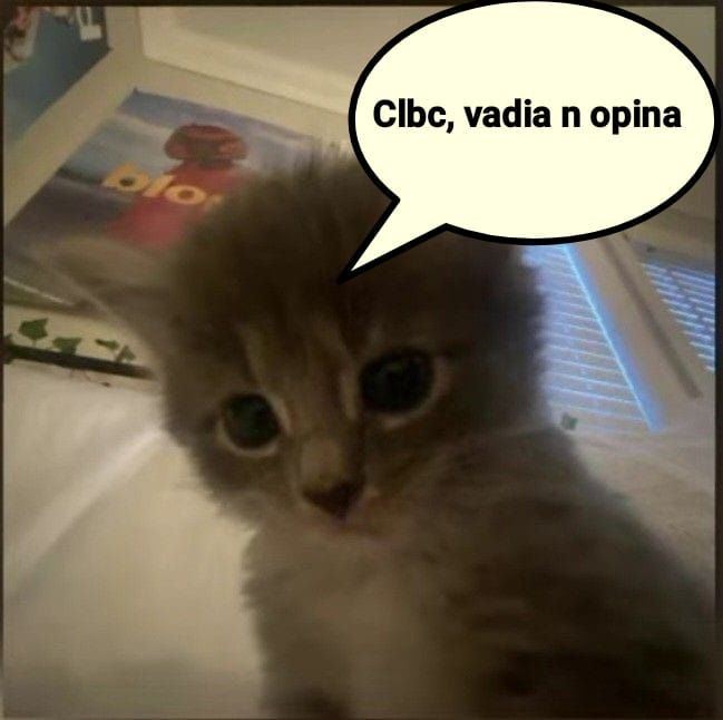 odeiootaco's tweet photo. https://t.co/8p9aV1Veqk