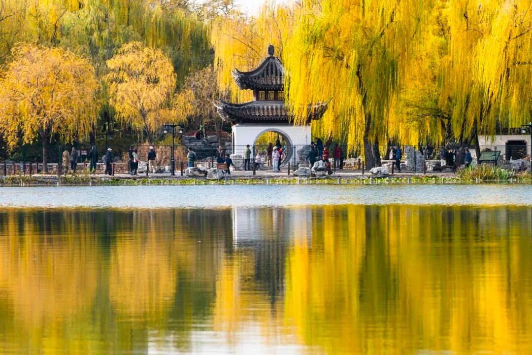 aishuzhan's tweet image. 镜头下的陶然亭晚秋：每一帧都是流动的诗！