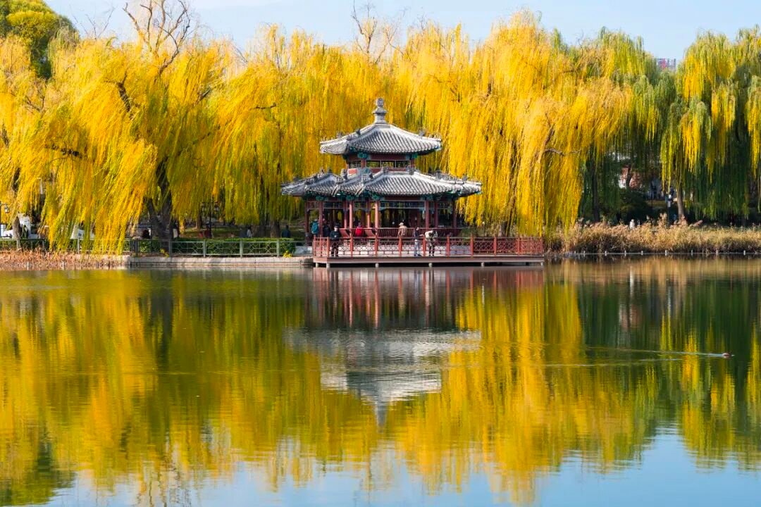 aishuzhan's tweet image. 镜头下的陶然亭晚秋：每一帧都是流动的诗！