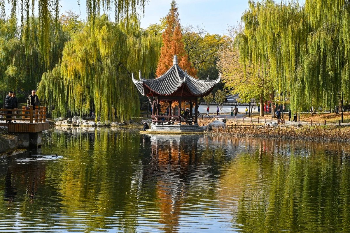 aishuzhan's tweet image. 镜头下的陶然亭晚秋：每一帧都是流动的诗！