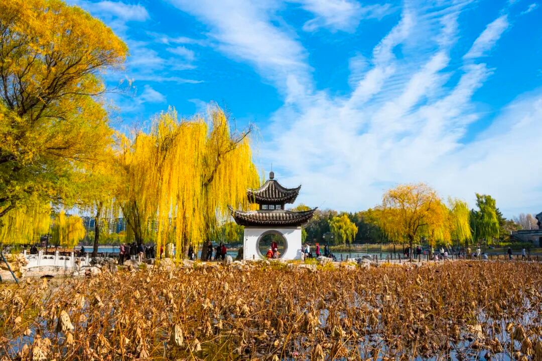 aishuzhan's tweet image. 镜头下的陶然亭晚秋：每一帧都是流动的诗！