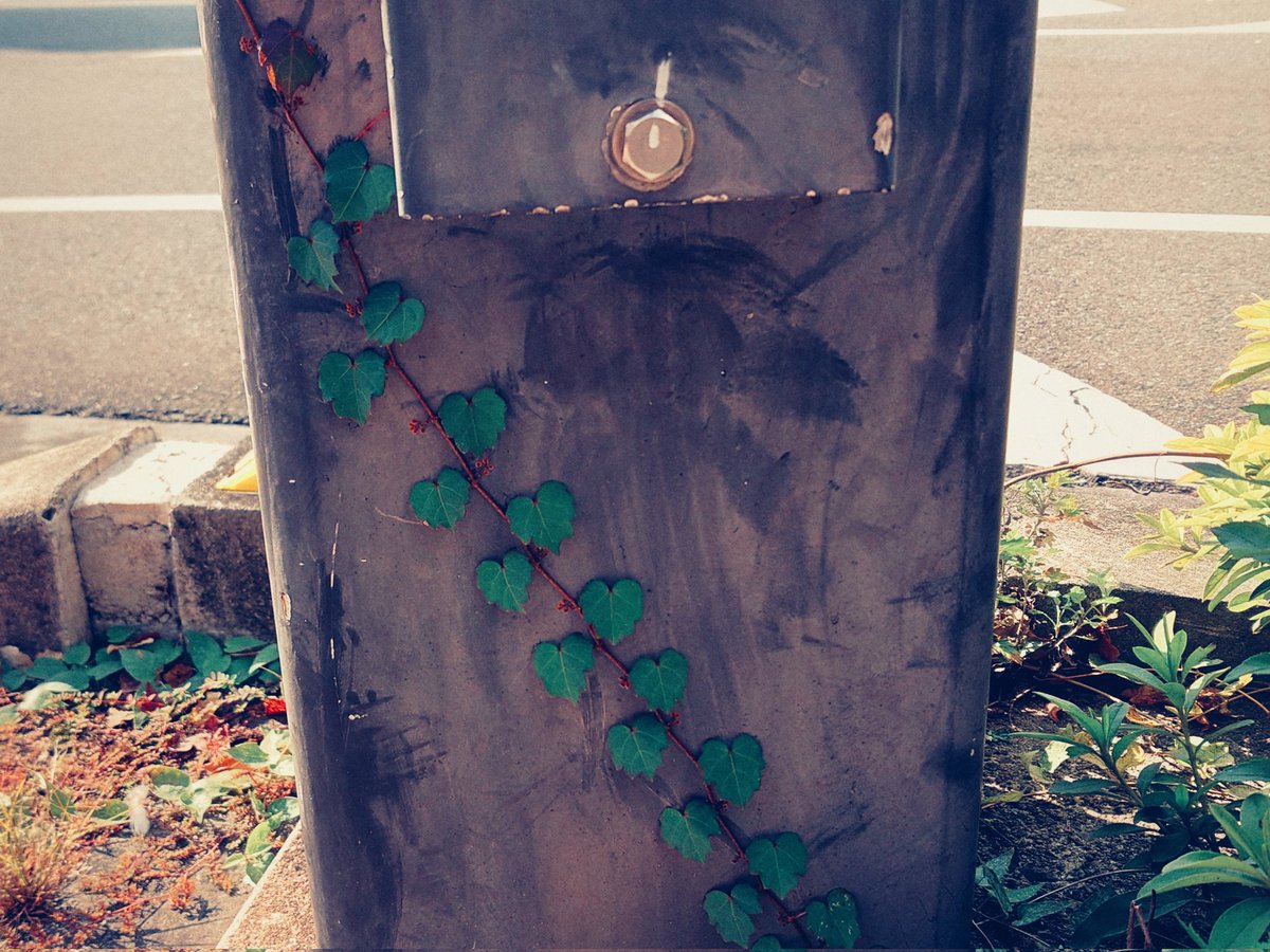 #streetphotography #xperia #xperiaproi #徳島 #スナップ写真