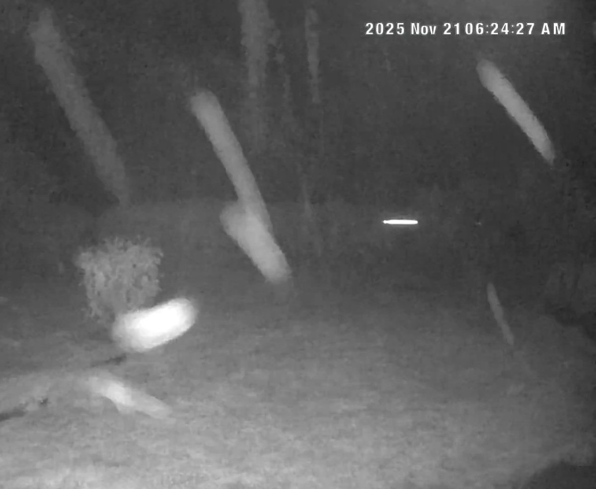 Prudence sur les routes de La Lande-Chasles et communes voisines. Neige et températures négatives ce matin !