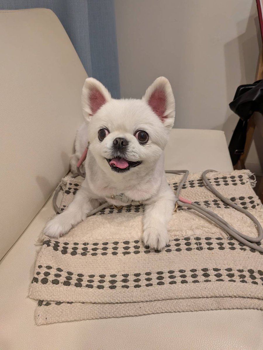 川上優 (森野雫)