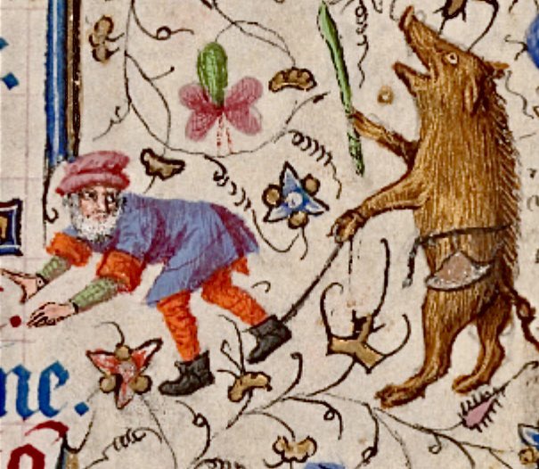 MedMilMedicine's tweet image. Gone hog-wild    -    15th century, Morgan Library &amp;amp; Museum, MS M.358 f. 2r