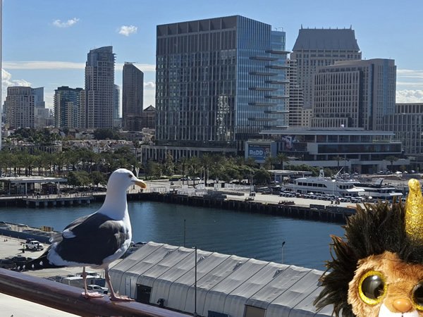 I just posted a new Ramsey update from San Diego for our Patreon supporters. Find it at patreon.com/Grose_Miscondu…