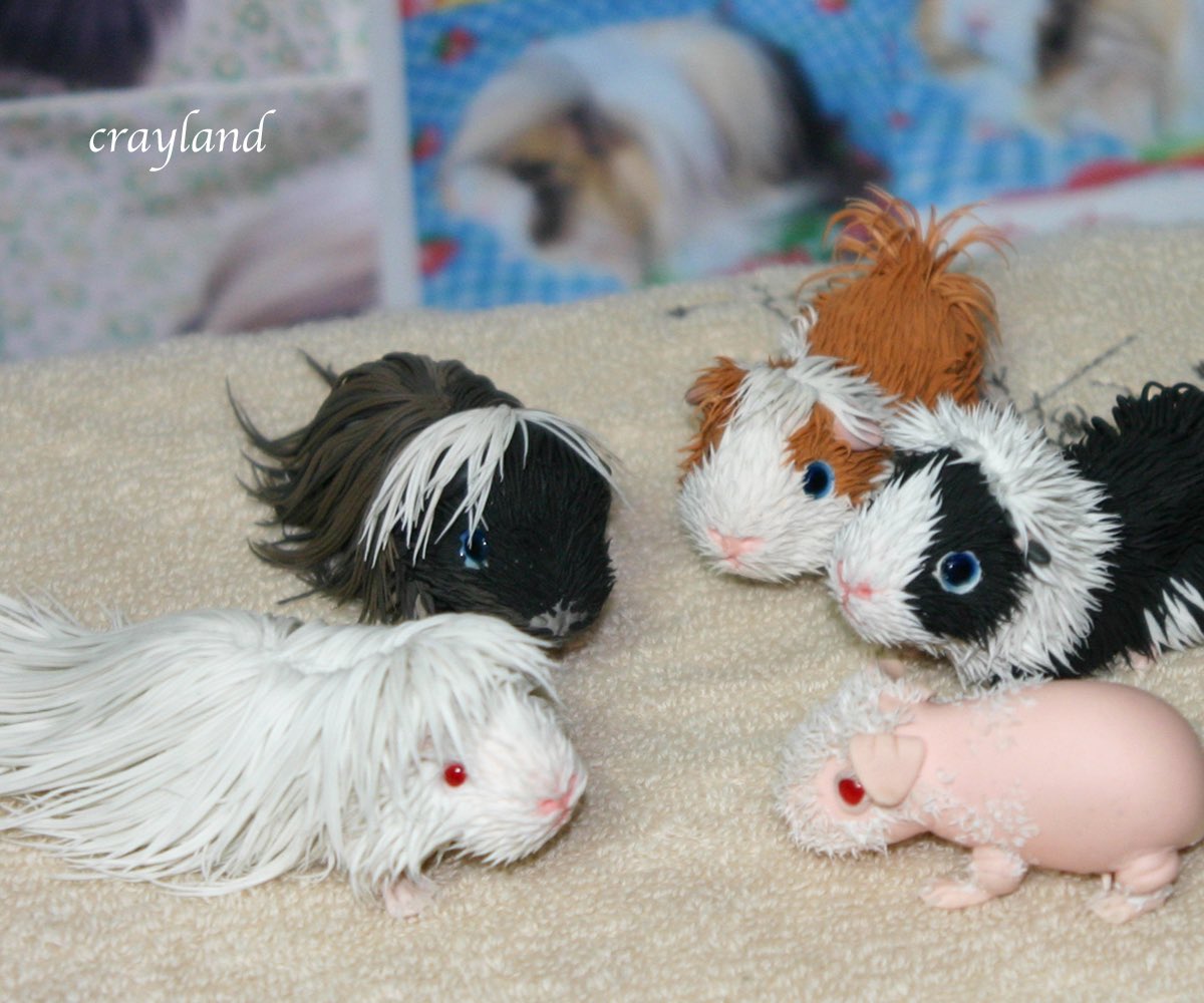 樹脂粘土で作ったモルモットちゃん達です。
色んな種類の子たちを制作させて頂きました。数年に一度くらいの制作頻度なので、なかなか作り慣れなくて、とても時間が掛かりました💦
#クレイアート #粘土細工  #ハンドメイド
#モルモット　　#フィギュア　
crayland.booth.pm