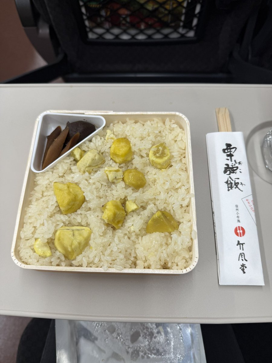 新倉瞳 Hitomi Niikura tweet media