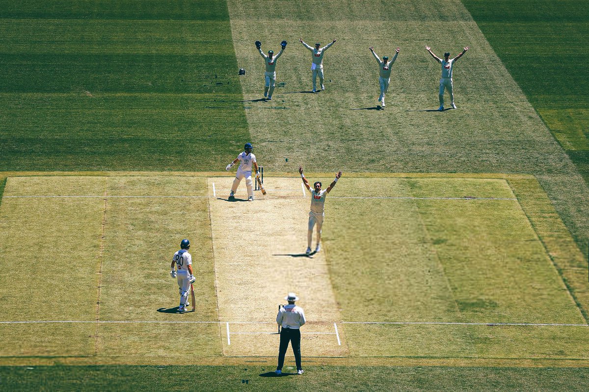 Cricket Picture that Goes Hard tweet media