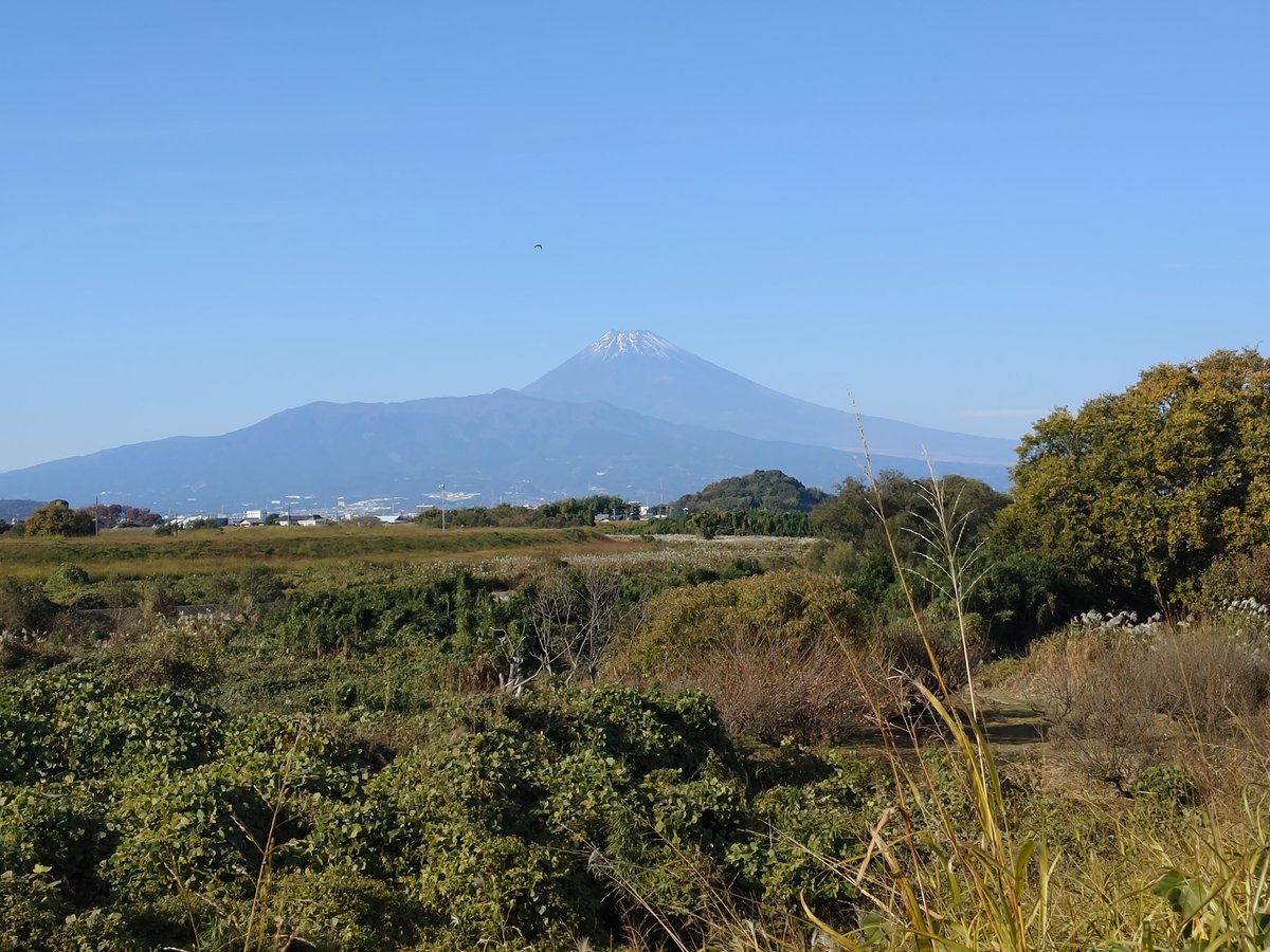 hattarishinin's tweet image. 道の駅から伊豆長岡駅まで腹ごなし🚶💨
修善寺駅まで歩きたかったが、
風邪気味＆昨日も歩きすぎたので🤧
今日はほどほどに💤
カレンダー📅買って一旦修善寺移動🚃
#ウォーキング
#いずっぱこ
#伊豆で何やってんだ