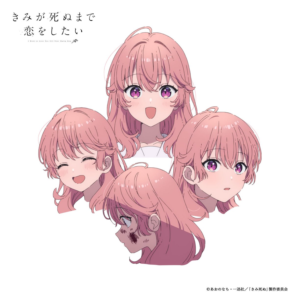 きみが死ぬまで恋をしたい公式 (@kimishinu) / Posts / X