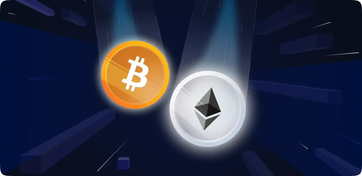 The Bitcoin Daily tweet media