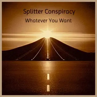 On Fri, Nov 21 at 2:10 AM, and 2:10 PM (PST) we play 'Whatever You want' by Splitter Conspiracy @splittercon. #OpenVault show plays live at noon (PST) &amp; repeats at midnight