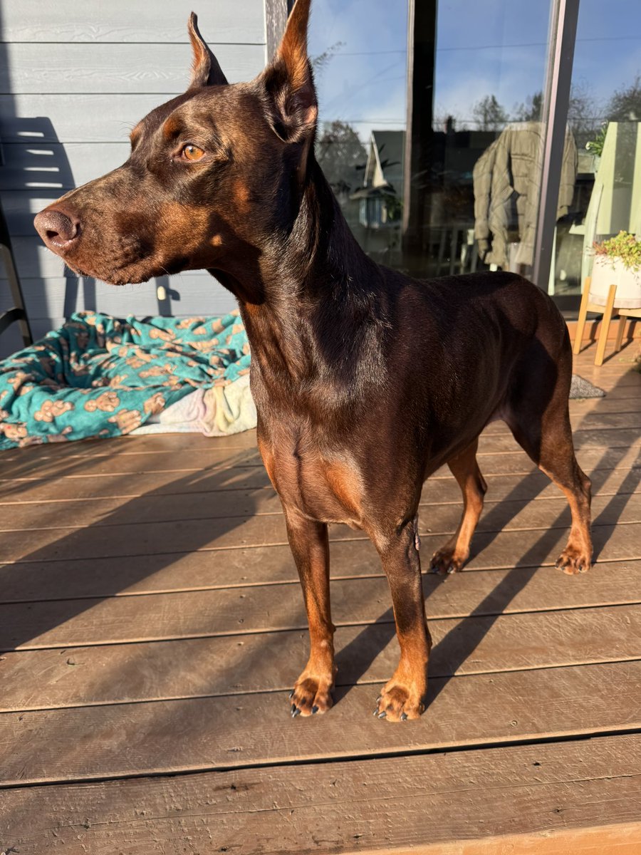 Cold but sunny day !