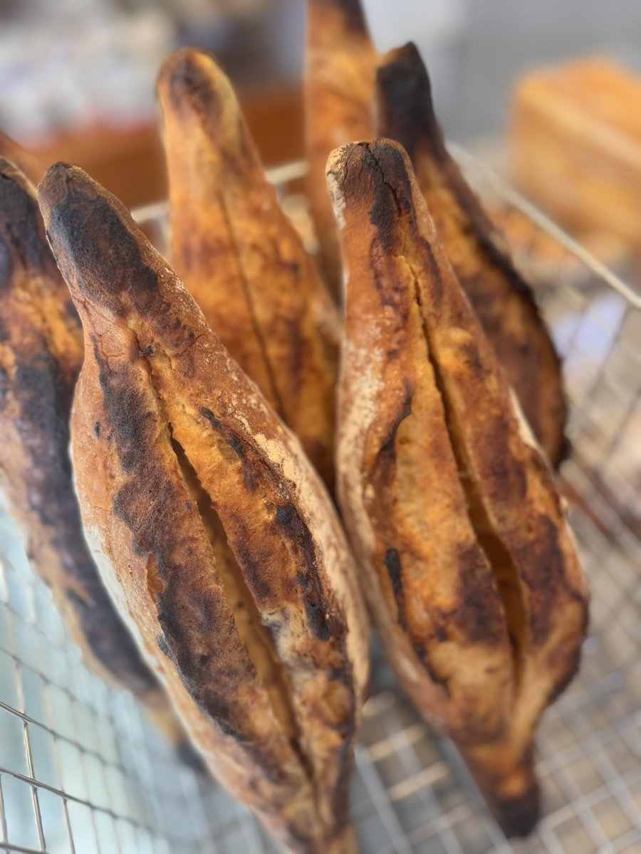 torantoroa33's tweet image. 本日 15時よりおまかせパン冷蔵便販売開始させていただきます
自家製ベーコンとスクランブルエッグサンド&amp;amp;味噌フランス入りセットシンプルパン多めです
数量少なくてすみません…
ご注文お待ちしてます🥖

torantoroa.shop/smartphone/ind…