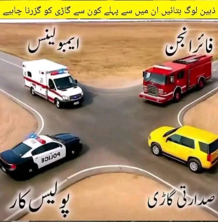 Hania Batool tweet media