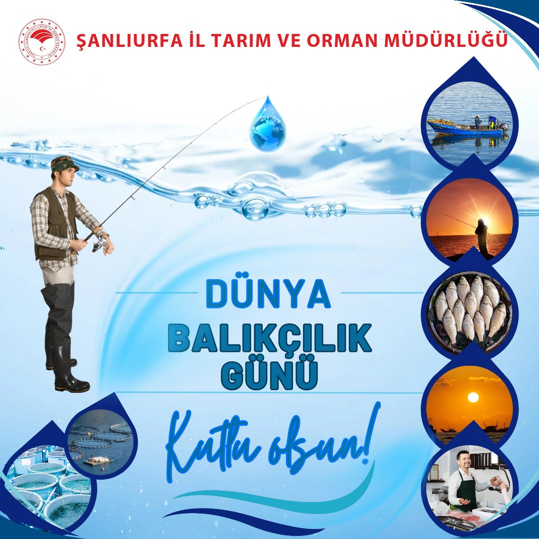 🐟Dünya Balıkçılık Günü Kutlu Olsun 
<a href="/TCTarim/">T.C. Tarım ve Orman Bakanlığı</a> <a href="/ibrahimyumakli/">İbrahim Yumaklı</a> <a href="/bsgmtr/">Balıkçılık ve Su Ürünleri Genel Müdürlüğü</a> <a href="/UrfaValiligi/">T.C. ŞANLIURFA VALİLİĞİ</a> <a href="/hasansildak/">Hasan ŞILDAK</a> <a href="/MsalihsSt/">mehmet salih söğüt</a> <a href="/sanliurfabsu/">Şanlıurfa Balıkçılık ve Su Ürünleri Şubesi</a>