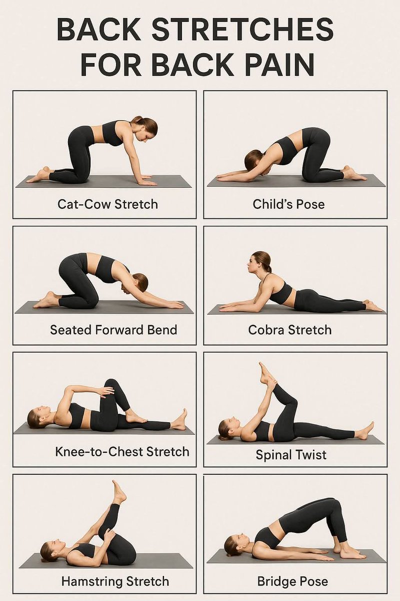 AjaybandralB's tweet image. Back Stretches for Back Pain 💪🏻 

#backstretch #stretching #backpainrelief #lifestyle