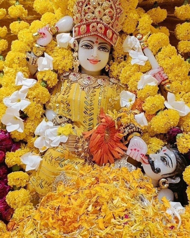 जब शत्रु प्रबल हों,
तो माँ बगलामुखी का नाम ही कवच बन जाता है।
ॐ ह्लीं बगलामुख्यै नमः।