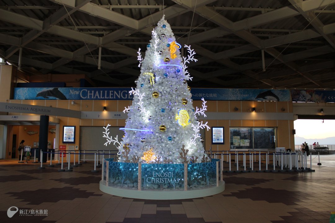 ࣪⊹ 𝙴𝙽𝙾𝚂𝚄𝙸 𝙲𝙷𝚁𝙸𝚂𝚃𝙼𝙰𝚂 ꙳⋆ 🎄えのすいクリスマス